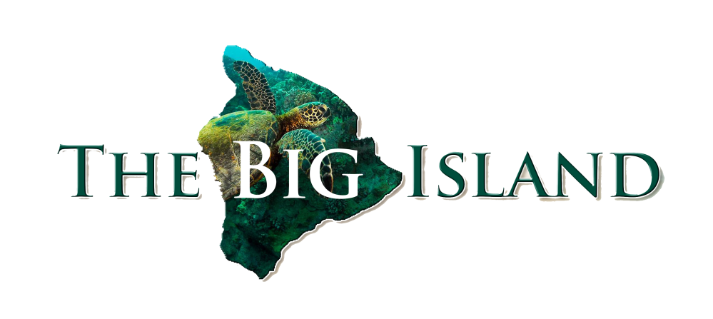 bigisland_logo